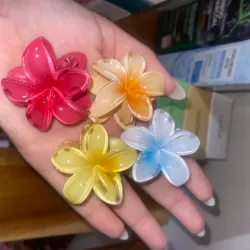 Pellizcos pequeños para el cabello