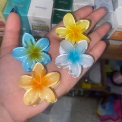 Pellizcos pequeños para el cabello