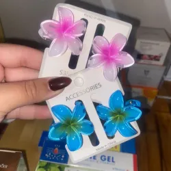 Set de 2 pellizcos pequeños para el cabello