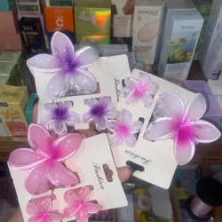 Set de 3 pellizcos para el cabello