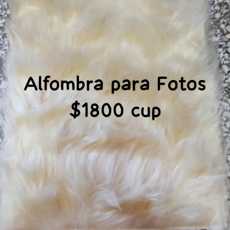 Alfombra para fotos 