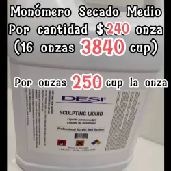 Monómero 