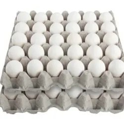 HUEVO CARTON