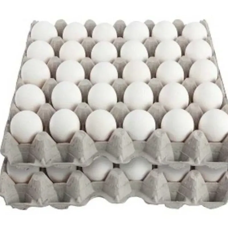 HUEVO CARTON