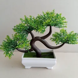 Bonsai Flores Rosadas