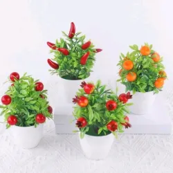 Bonsai Frutal