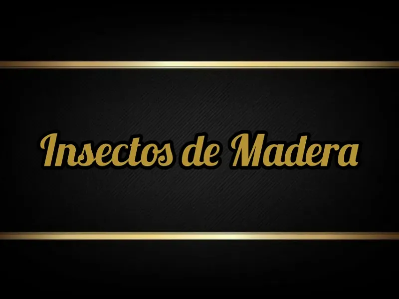 INSECTOS DE MADERA