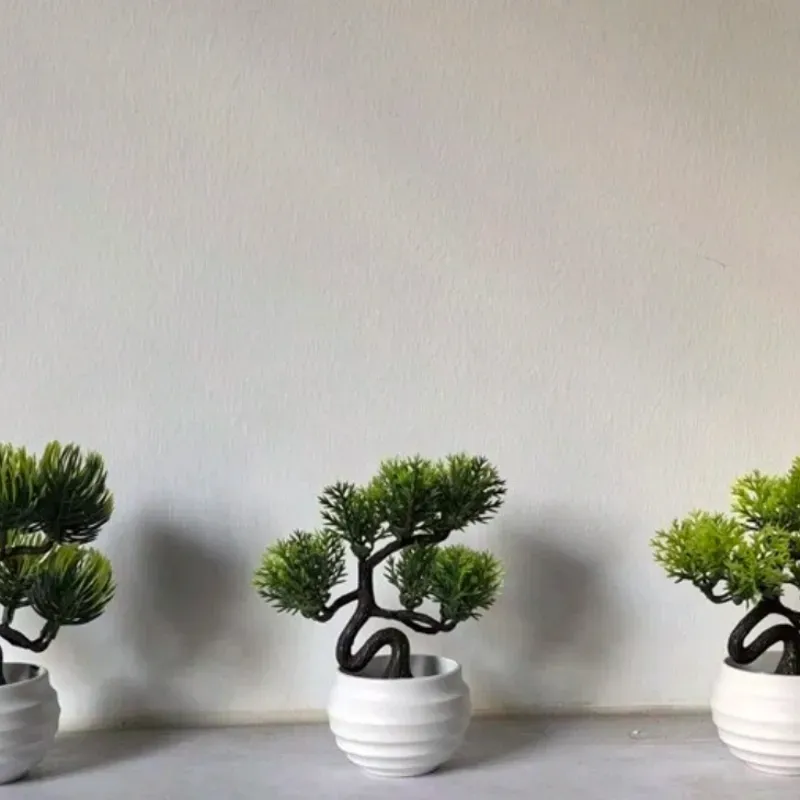 Mini Bonsai