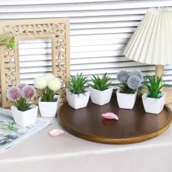 Mini Sucu y Cactus