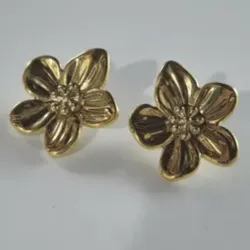 Aretes Dorados