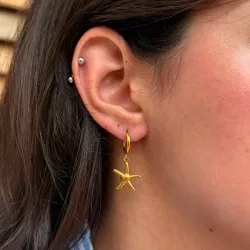 Argollitas con dije de estrella
