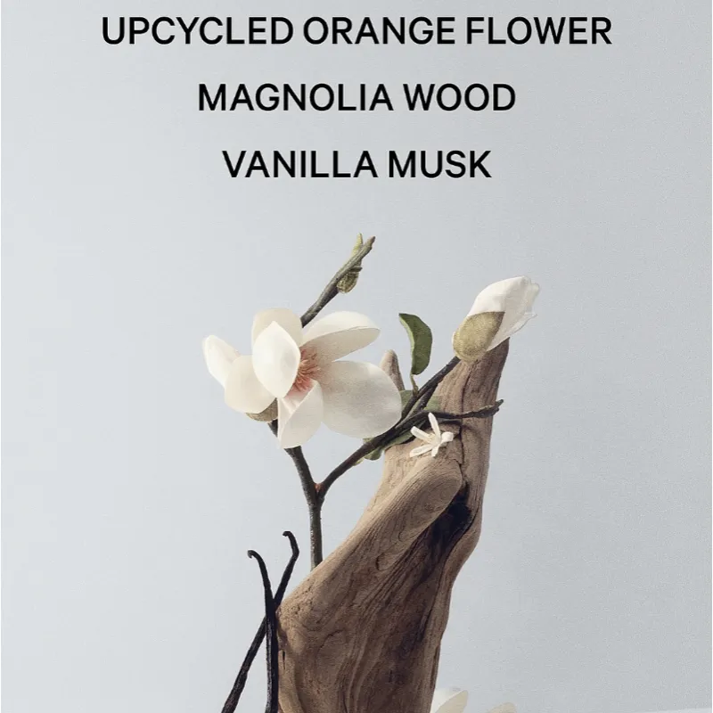Bare Magnolia