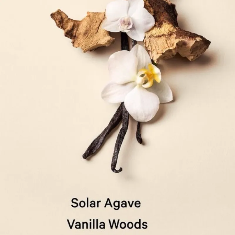 BARE VANILLA VACATION