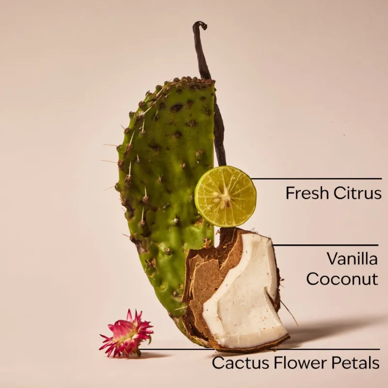 CACTUS BLOSSOM