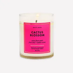 CACTUS BLOSSOM
