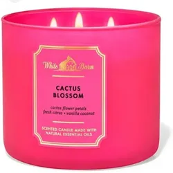 CACTUS BLOSSOM Vela