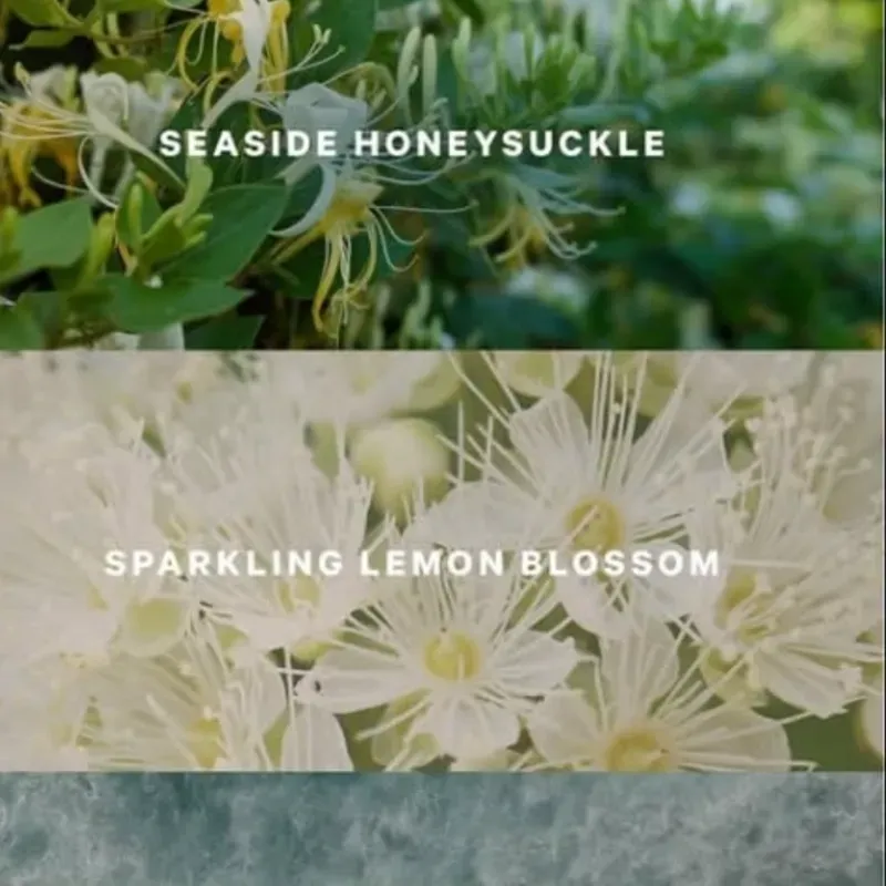 Coastal Blooms