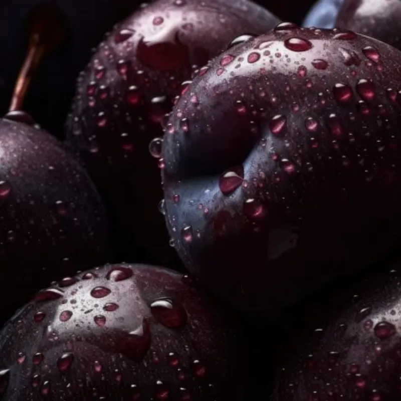 Decadent Plum