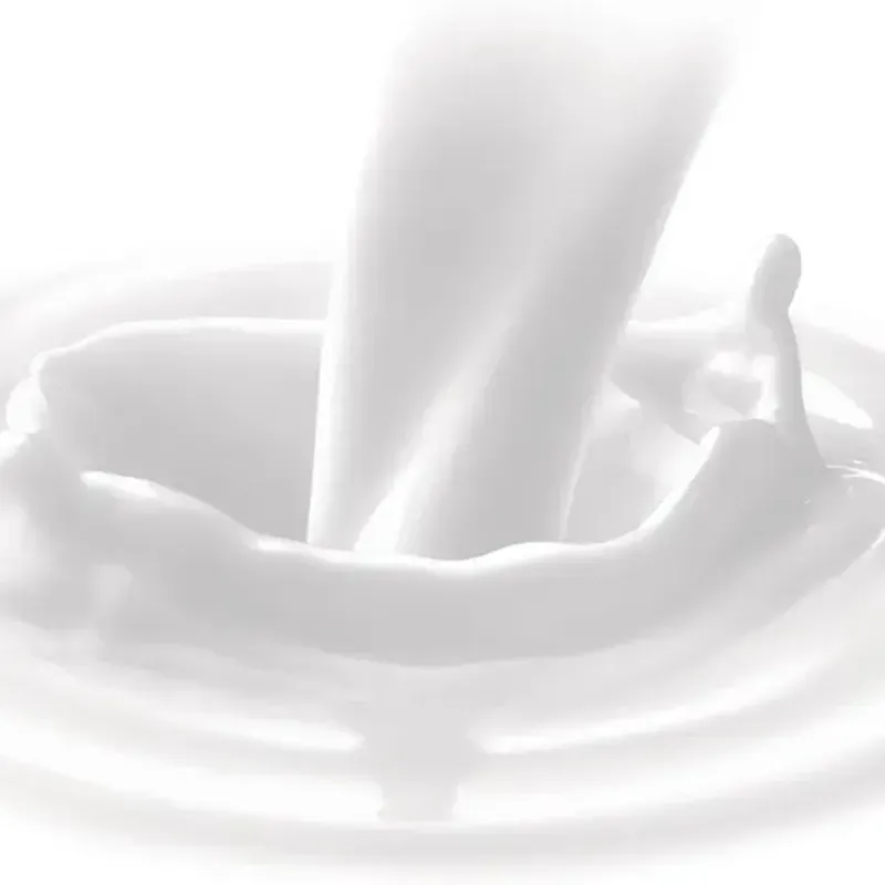 Dove desodorante en crema antitranspirante original
