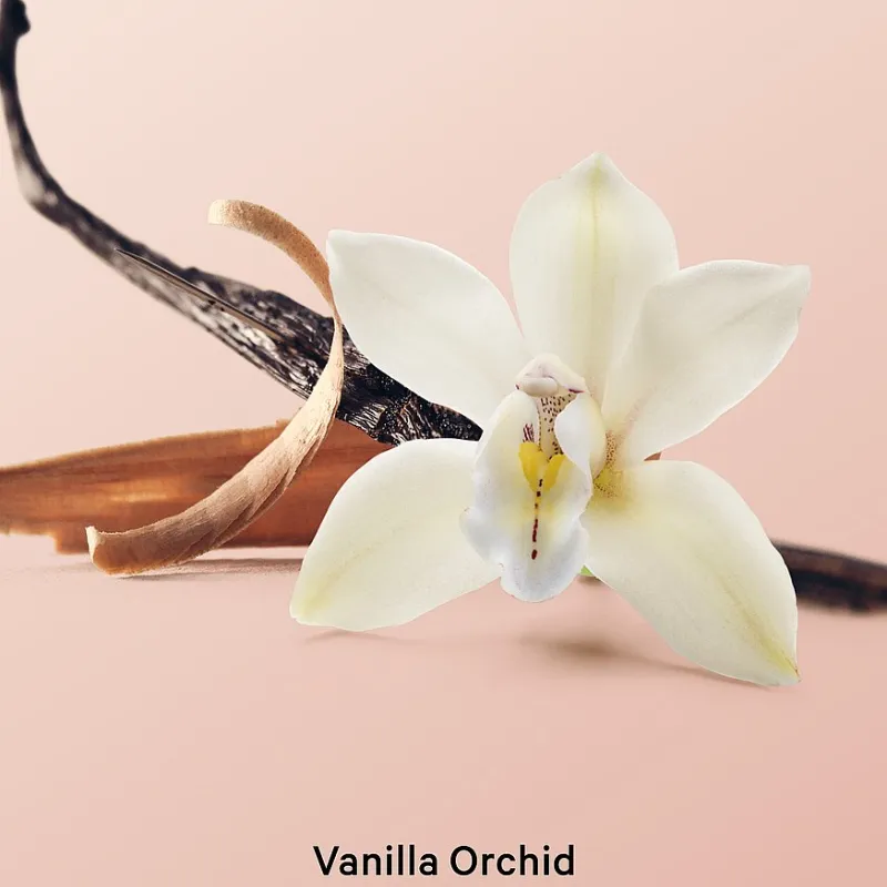 Exfoliante corporal Vanilla Orchid Sandalwood Whipped