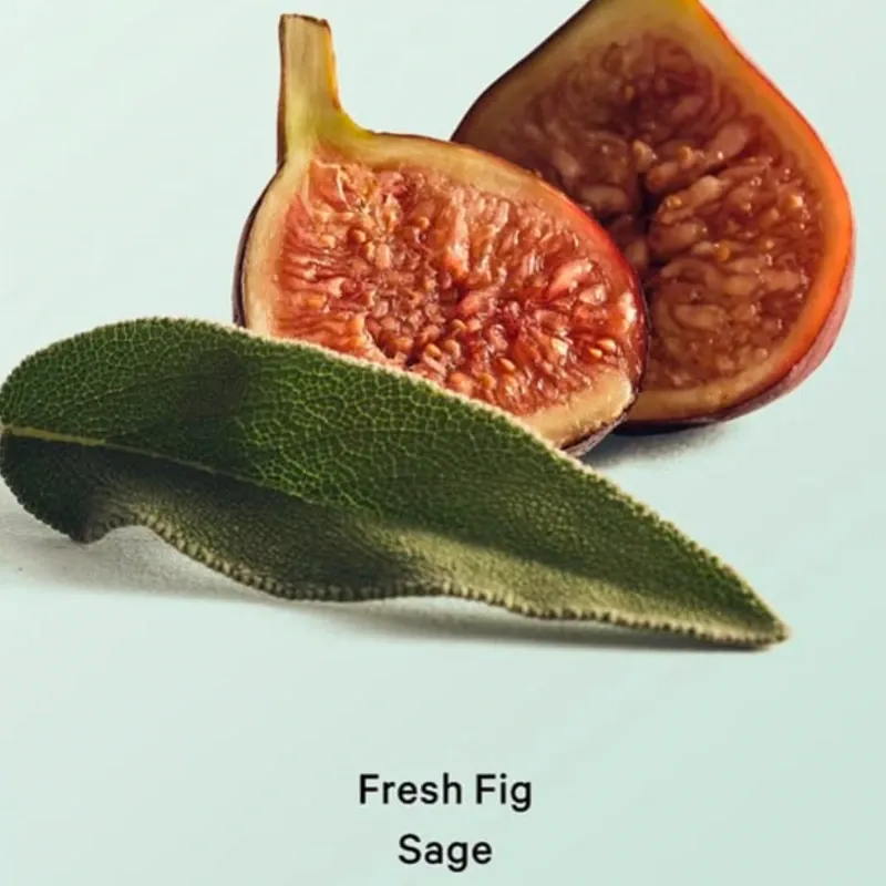 Fresh Fig Sage Crema Corporal