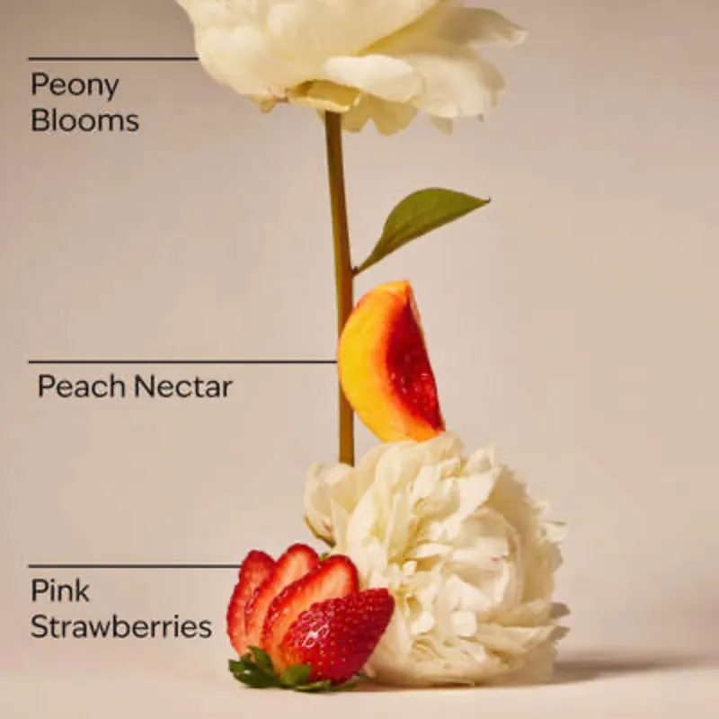 Gingham GORGEOUS Vela