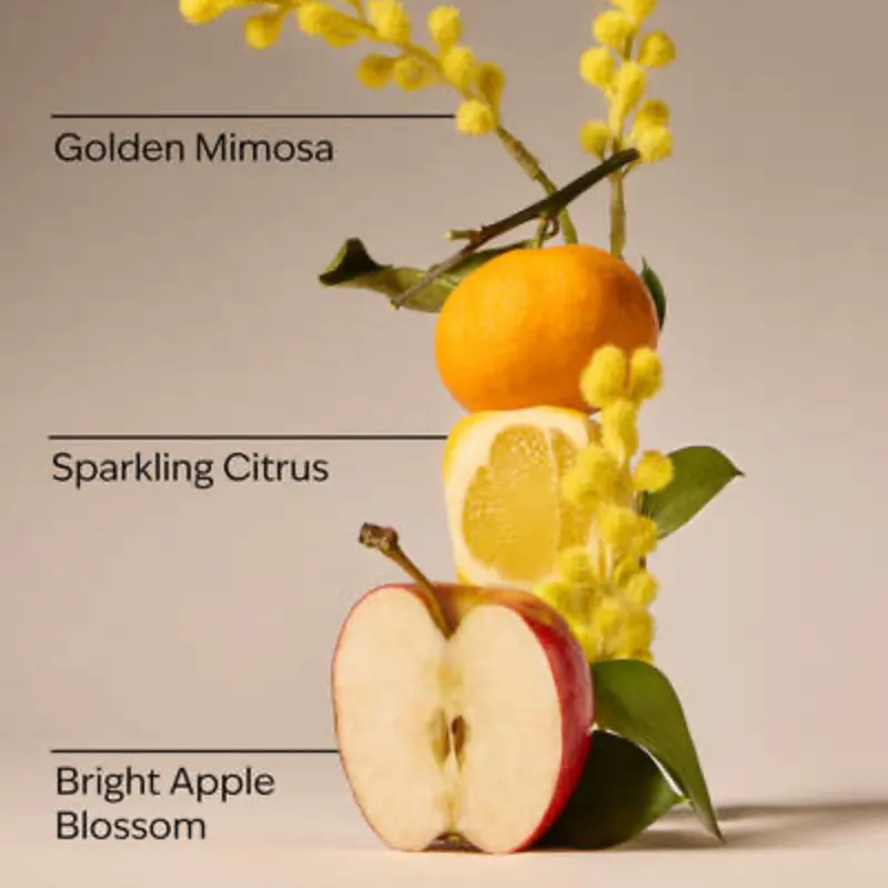 HELLO HAPPINESS Colonia