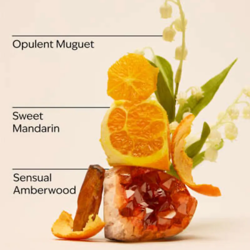 INFINITE RADIANCE Colonia