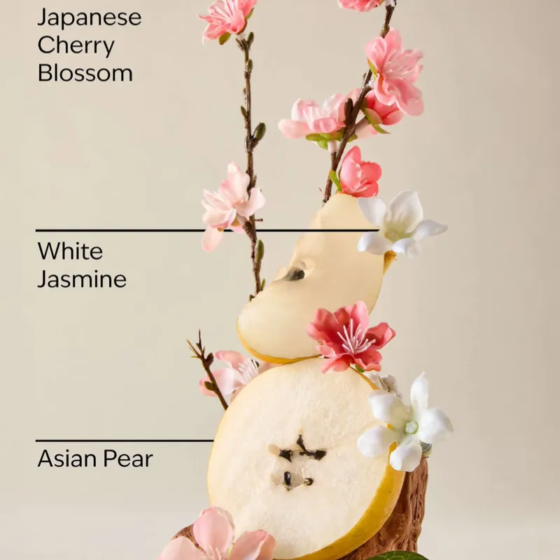 Japanese Cherry Blossom