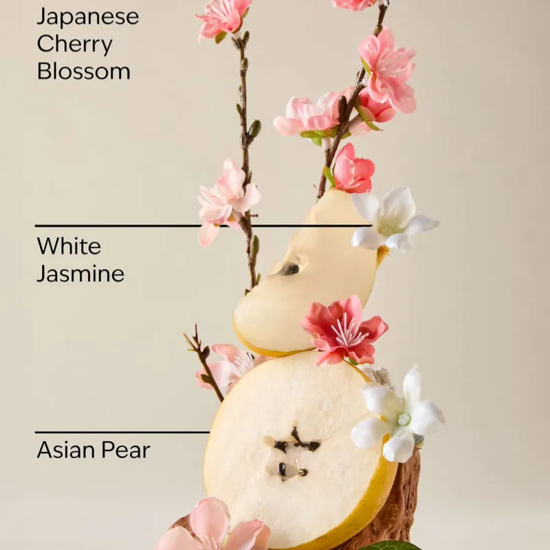 Japanese Cherry Blossom