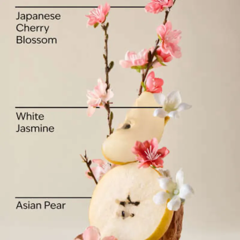 Japanesse Cherry Blossom Crema