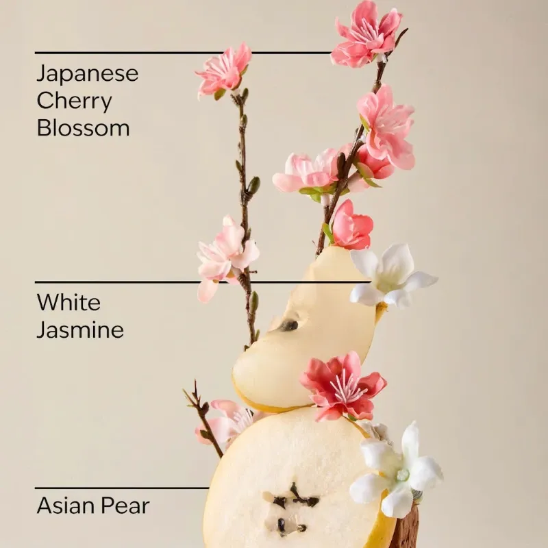 Japenese Cherry Blossom Jabón de manos