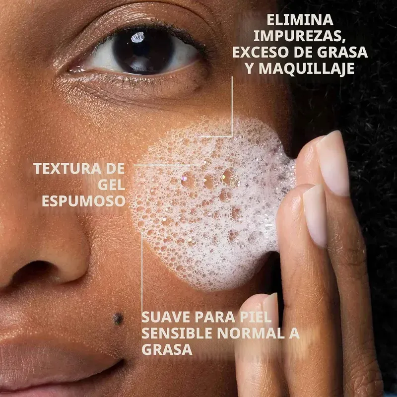 Toleriane Purifying Foaming Cleanser