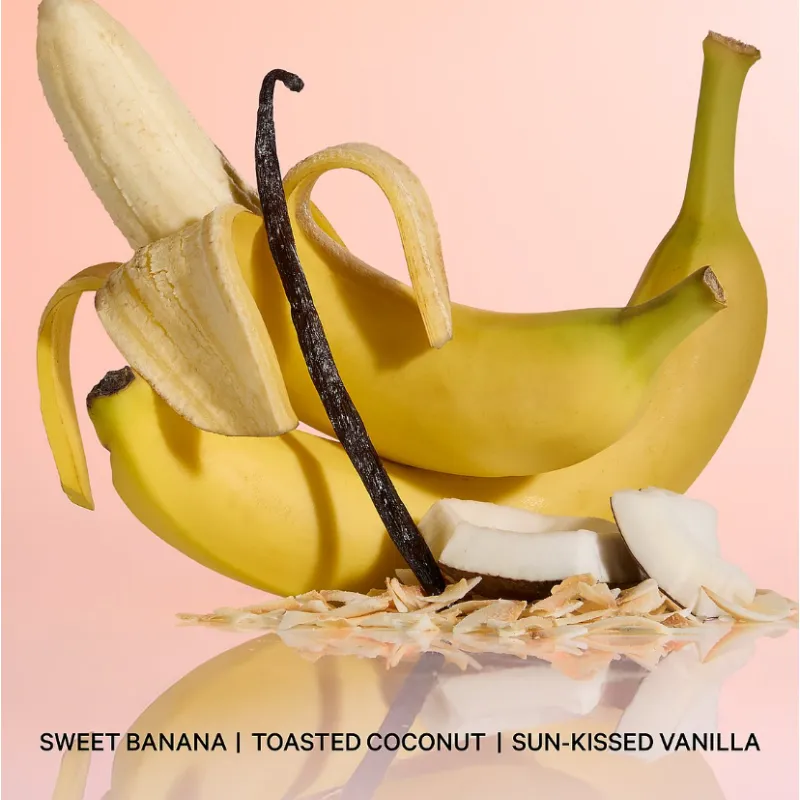 Vanilla & Dream Sun Splashed