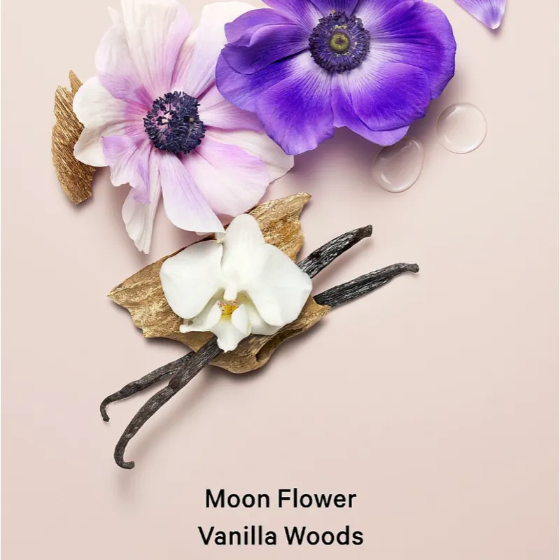 Midnight Bloom