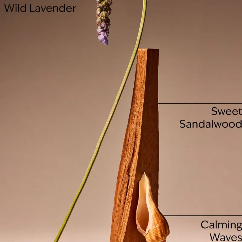 Oceanside lavender