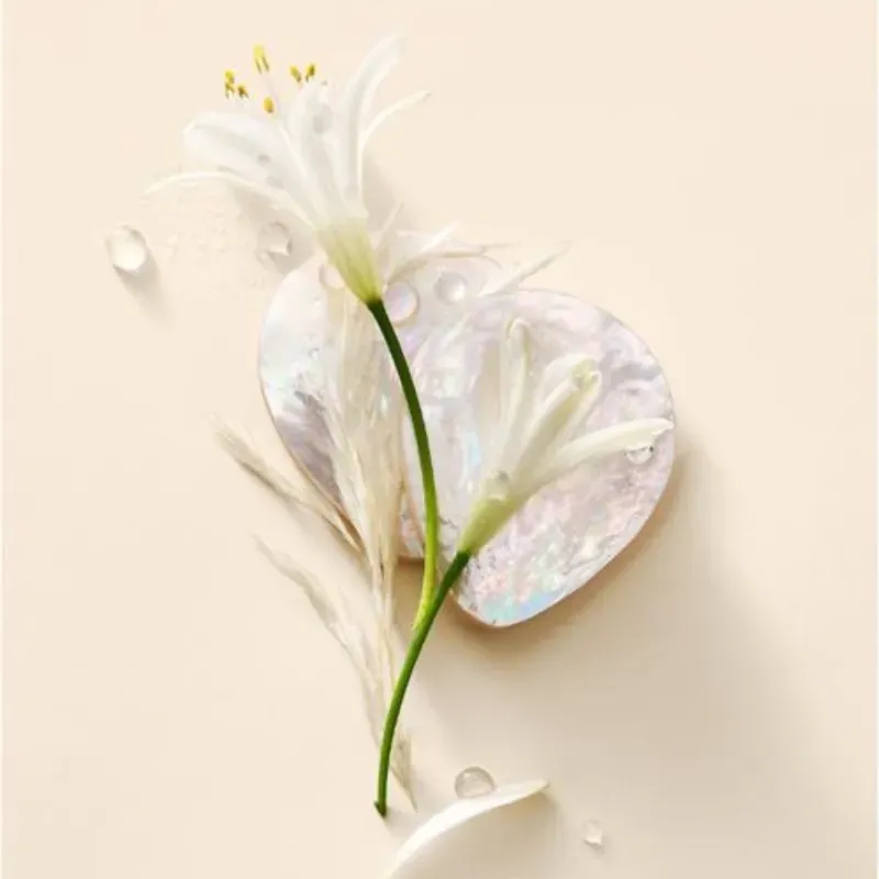 Perfume VS Day Dream