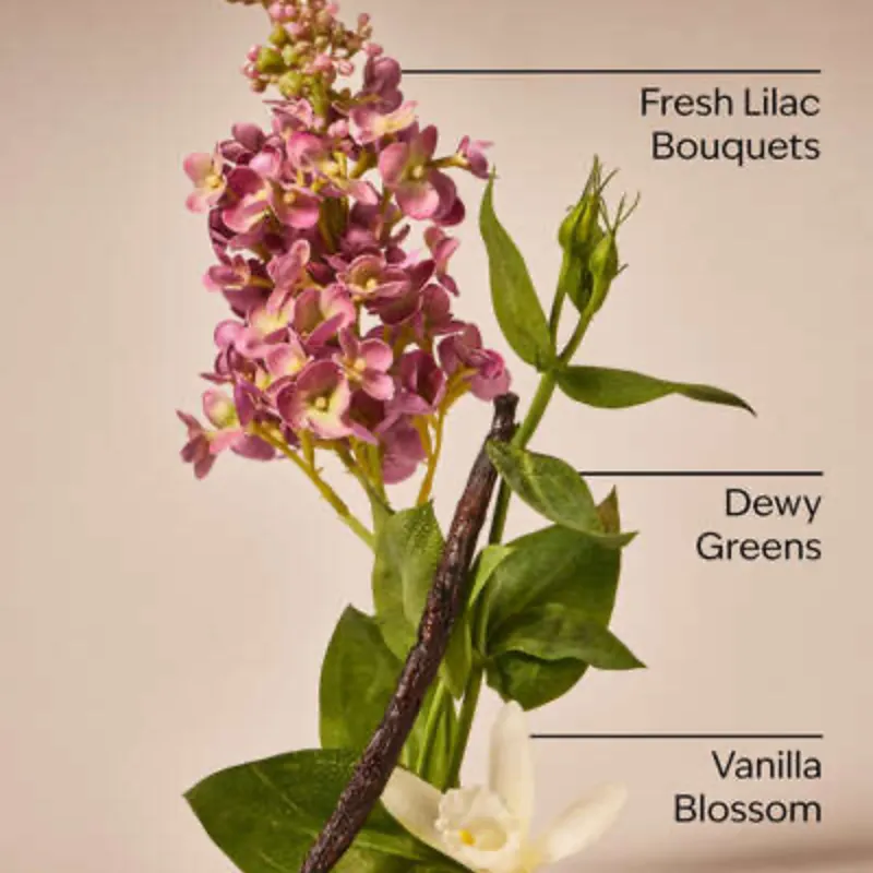 Pink Lilac and Vanilla Vela