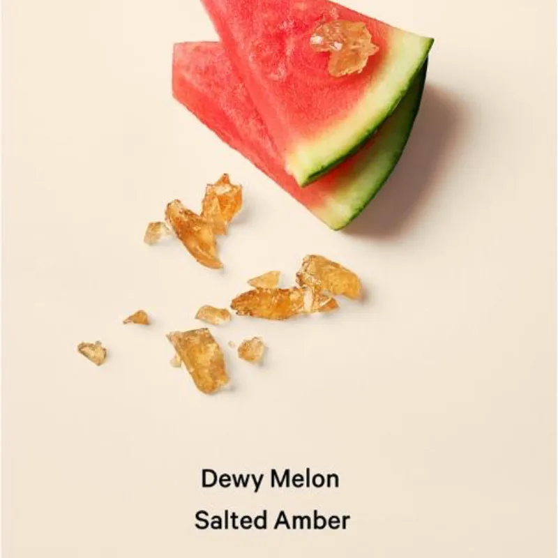 PURE SEDUCTION Vacation