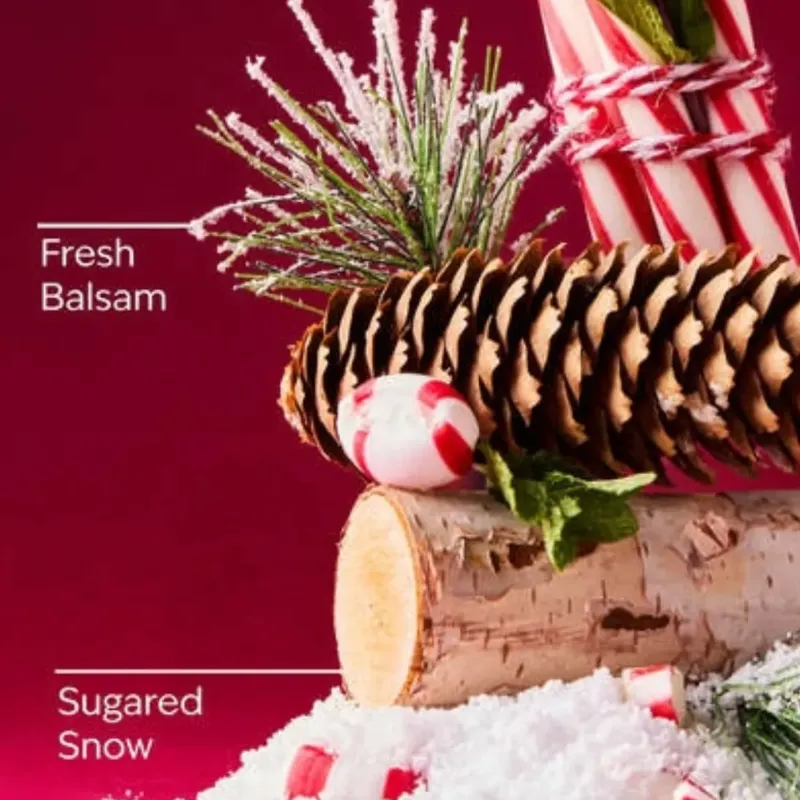 RASPBERRY HOLIDAY PIE BAR Colonia