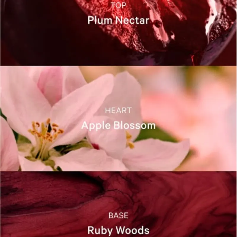 RUBY PLUM NIGHTS Crema