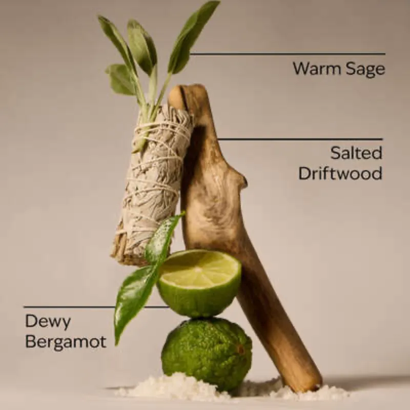 SALTED SHORELINES Colonia