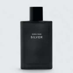 SILVER MAN ZARA