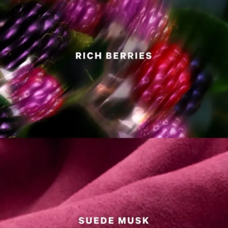 Suede Wonder