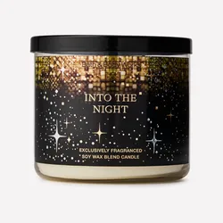 Into The Night