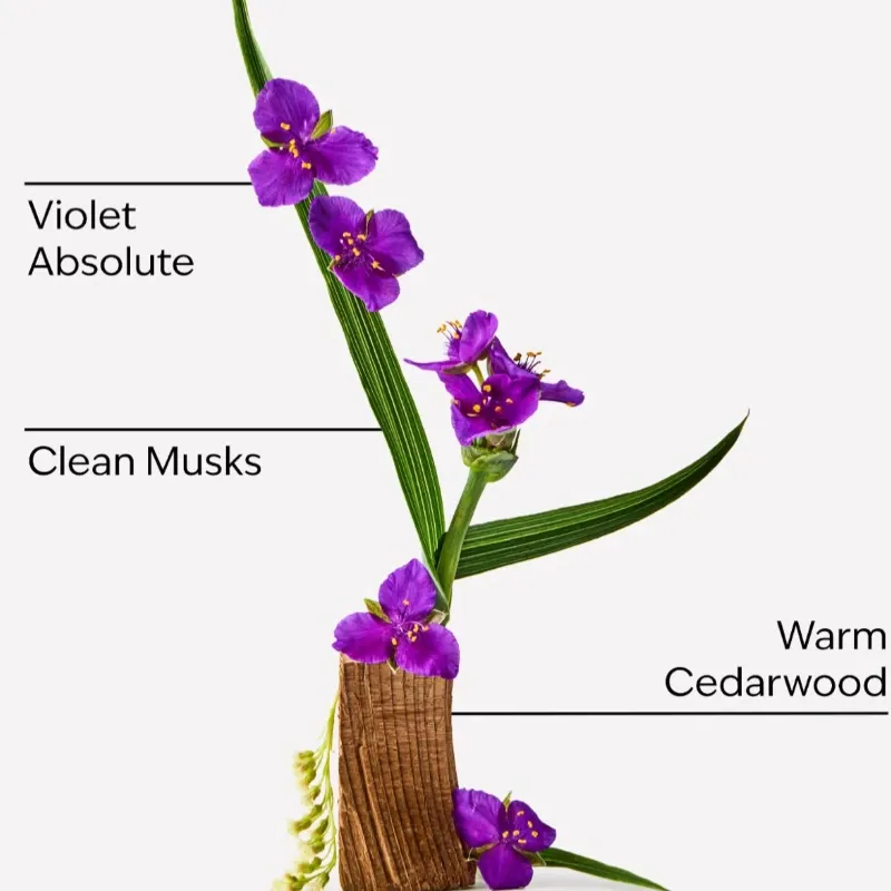 Very Violet