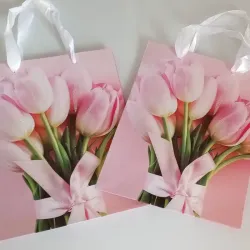 Bolsas de regalo 