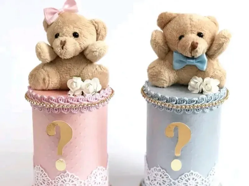 🎀Revelación de sexo/Baby Reveal 