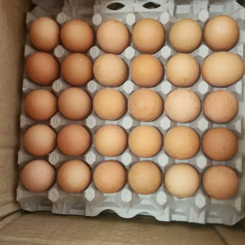 Huevos frescos