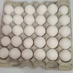 Huevos